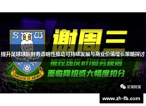 提升足球球队财务透明性推动可持续发展与商业价值增长策略探讨