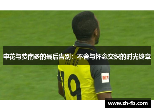申花与费南多的最后告别：不舍与怀念交织的时光终章