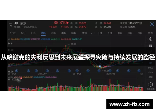 从哈谢克的失利反思到未来展望探寻突破与持续发展的路径