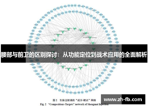 腰部与前卫的区别探讨：从功能定位到战术应用的全面解析